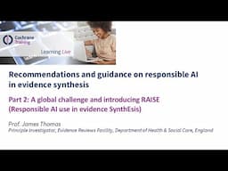 Part 2: A global challenge and introducing RAISE (Responsible AI use in evidence SynthEsis)