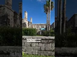 Historic Harbor Turned Hotspot 💃 Royal Dockyard Walk!