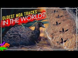 These Are The Oldest Known Fossil Footprints of the Mighty Moa! #MoaMonth
