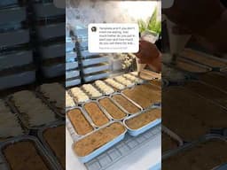 How much batter to make mini cake pans?