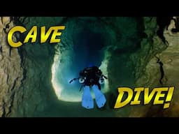 Twin Caves SILT OUT Dive!  | JONATHAN BIRD'S BLUE WORLD