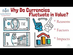 Why Do Currencies Fluctuate in Value? | Economics | From A Business Professor