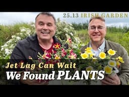 🇮🇪 25.13: Just Landed in Ireland… and Already Hit the Garden Centre!