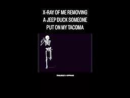 Ever seen a duck fly?