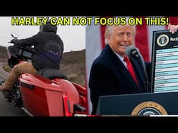 Harley MUST Focus on the REAL ISSUE they are Facing! Not This