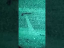 Black Triangle UFO or something else?  #uap