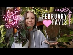 Short-n-sweet ♡ February faves