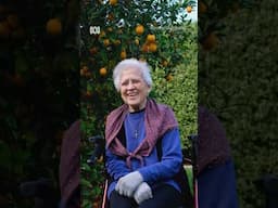 Tereza's Amazing Lemon Tree! | Gardening Australia