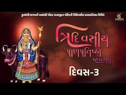વસરા પરીવાર દ્વારા આયોજીત આઈશ્રી પીઠડ માતાજીના મંદિરની ત્રિદિવસીય પ્રાણ પ્રતિપ્રતિસ્ઠા મહોત્સવ દિવસ3