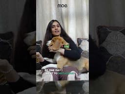 How Beagle Jojo Fell in Love With MOE Waterless Kit