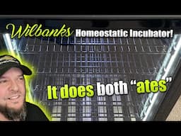 Unboxing: My Wilbanks Incubator (It does BOTH "ates")