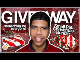 SMALL PET CHRISTMAS GIVEAWAY 2020! | Hammocks, Snuggle Sacks, Foraging Dishes! | Hamsters + More!