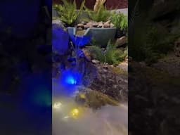 Small Zen Pond In Restaurant! #shorts