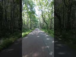 Sopot 🚲🌳
