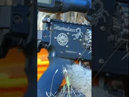 Mordax.25 #hunting #airgunhunting