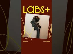 Symphonic Strings is out now on LABS+