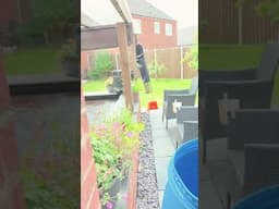 Koi Pond Filters and Koi Carp 🙌🏽📸🎥😍😍