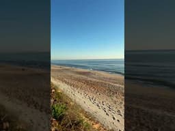 Gamble Rogers State Park, Florida ￼