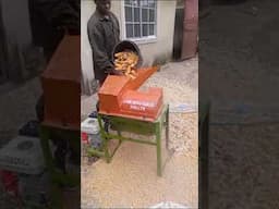 How maize thresher work