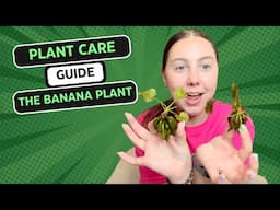 Plant Care Guide: Banana Plant