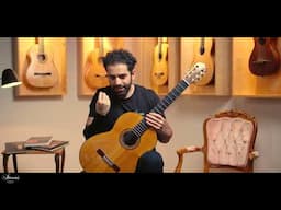 Robert Ruck 1982 No. 272 Classical Guitar Review
