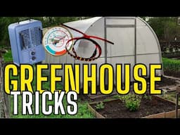Greenhouses in Cold Climates! Essential Tips for Success