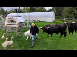 The Secret to Avoiding Farm Burnout