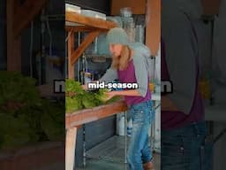 Farm Workers Suddenly Disappear Mid Season? WATCH THIS TO PREVENT THIS