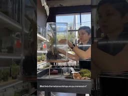 AQPFcPUjvVw6q2PAHCYnK SAICIFR4WFsLxEjMSQrK1tLVGn1R9wdjixr9Cxgmp9VmKHVfatcbIkEcPZa13gVxuMlYL1k bql Rr
