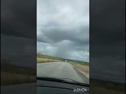 O SERTÃO FICOU BONITO - vídeo de Márcia Medeiros.