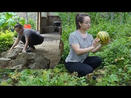make stone steps, harvest melons to eat, take care of bonsai