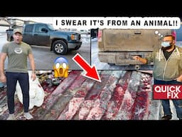Cleaning The BLOODIEST Truck I've Ever Seen! | Quick Fix