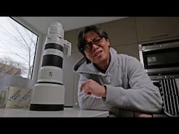 Sony 400-800mm - Insanely Sensible