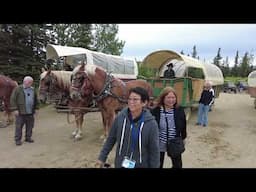 2023 Denali Explorer  Alaska Cruise