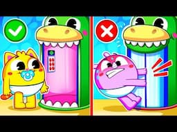 Elevator Safety With Dinosaurs for Kids | Family Time Songs by Toddler Zoo for Kids