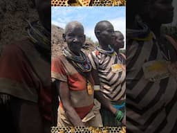 Bumper Harvest for Karamoja - Green Gram from Our PREC Project