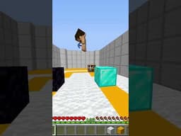 Minecraft Guess The Block with Baby Herobrine  #herobrinegamerz #technogamerz #minecrafthumor