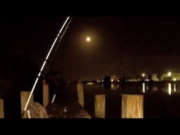 Moon Burning | Catfish Fishing | Catch Clean Cook