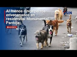 Al menos cinco perros envenenados en residencial Monumental, Pantoja