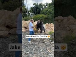 Me Vs. Gorilla 🦍