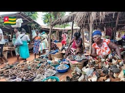 Rural village market day in Togo west Africa 🌍. Raw unfiltered village like Togo