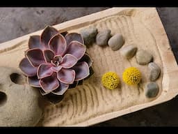 Episode 205  Traditional Japanese Flower Arts - Zen Garden- J Schwanke's  Life in Bloom