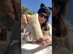 Pregnancy Cravings: Episode 1  🌯🌵
