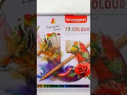 Super Underrated Set, the Bruynzeel Expression Coloured Pencils