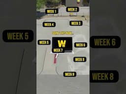 The kids will thank you later 😉 #woodward #bmx #skate #scootering #summercamp