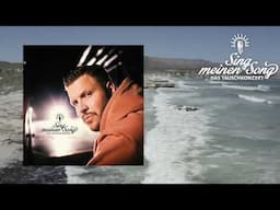 FiNCH - Leben im Millenium (Throwback) (Sing Meinen Song Vol. 12)