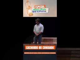 CACHORRO NO COMANDO I NILTON PINTO E TOM CARVALHO #piadas #piadascurtas #humor #standup #risos