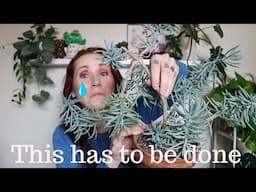 Chopping Up My Favorite Plant!