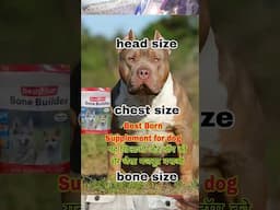 Dog ka size kese  badhaye dog ka head size kese badhye Dog ki health kese badhaye #shorts #dogshorts