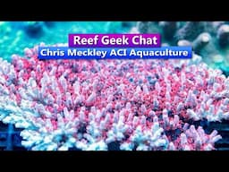 ReefDudes Saltwater Reef Geek Chat with Chris Meckley ACI Aquaculture
